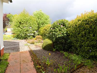 Picture 19